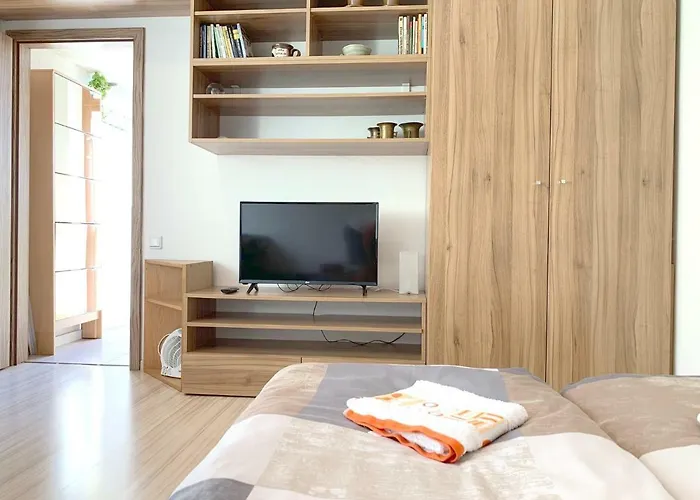 Krasny Apartman U Lesa, Trolejbus Do Centra A Bvv, Parkovani Zdarma